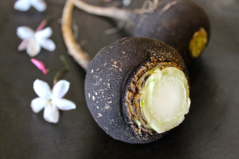 black radish