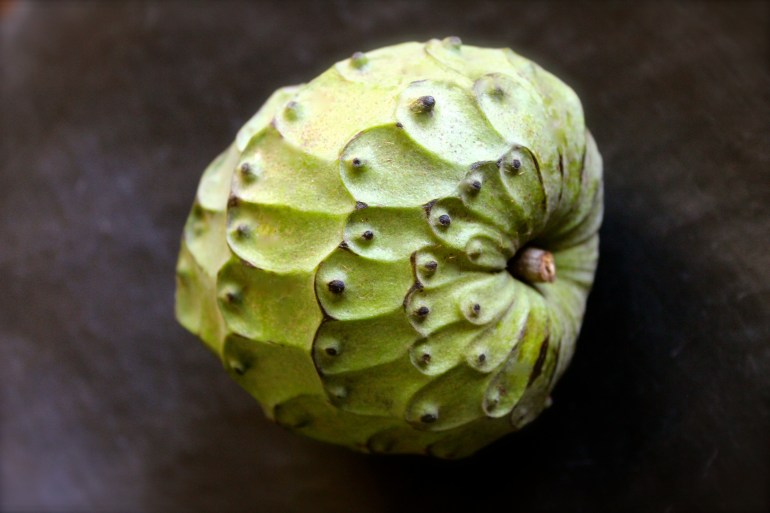 Cherimoya