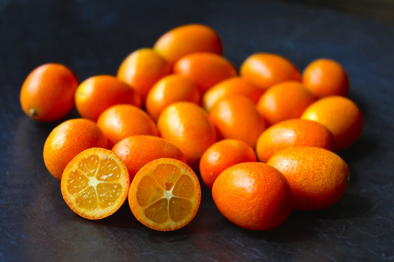 kumquat