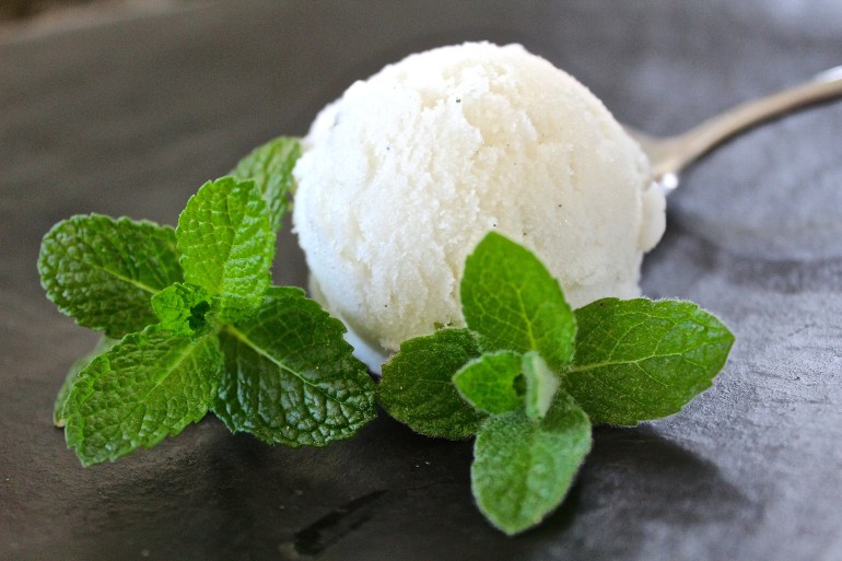 mint ice milk